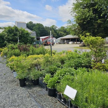 Clark Seeds - Nurseries & Gardening Near Me - Clayton, Delaware
