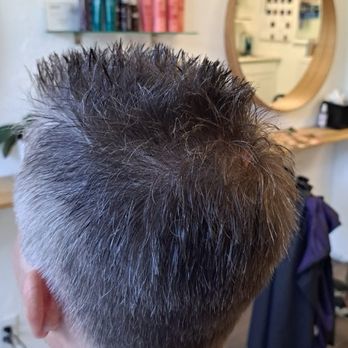 Black Wolf - Hair Stylists Near Me - Lake Arrowhead, California