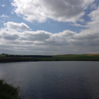 De Witts Pond - Fishing Near Me - Calgary, Alberta De Witts Pond - Fishing Near Me - Calgary, Alberta