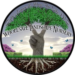 Ciotti's Lawns & More For Life - We know Florida Landscape!