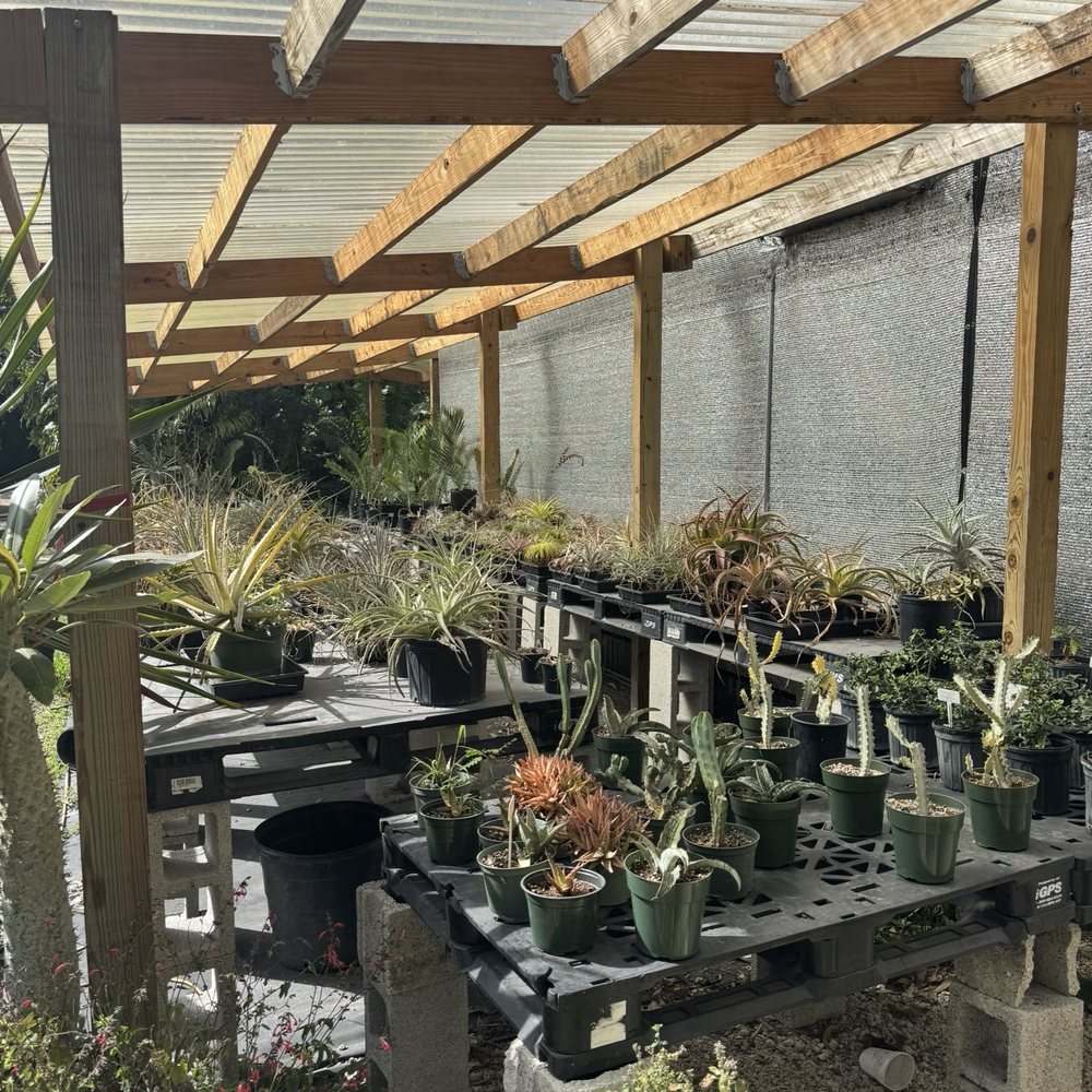 Jesse Durko's Nursery - Nurseries & Gardening Near Me - Davie, Florida Jesse Durko's Nursery - Nurseries & Gardening Near Me - Davie, Florida