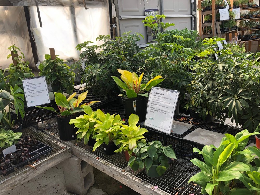 SKILLIN’S GREENHOUSES Updated September 2024 201 Gray Rd