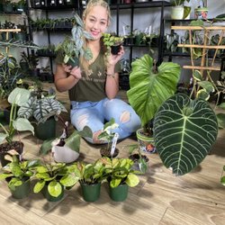 Succulents Empire