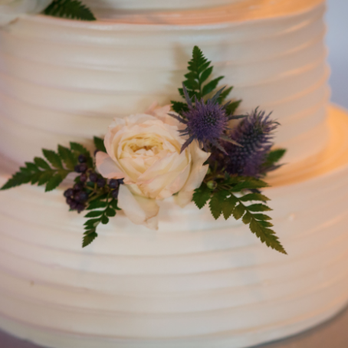Primrose and Petals - Florists Near Me Primrose and Petals - Florists Near Me