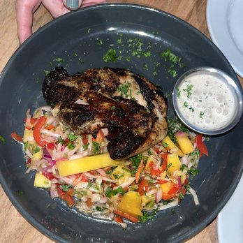 Jaguar Restaurant - Coconut Grove - Chicken Patagonia - Latin American Near Me - Miami, Florida Jaguar Restaurant - Coconut Grove - Chicken Patagonia - Latin American Near Me - Miami, Florida