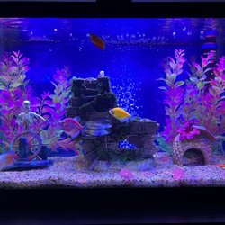 Aquatech Aquarium Service