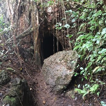 Waimano Loop Trail - Entrance.  Looks daunting, but really just a hole. Who's scared of holes???? - Hiking Near Me - Pearl City, Hawaii