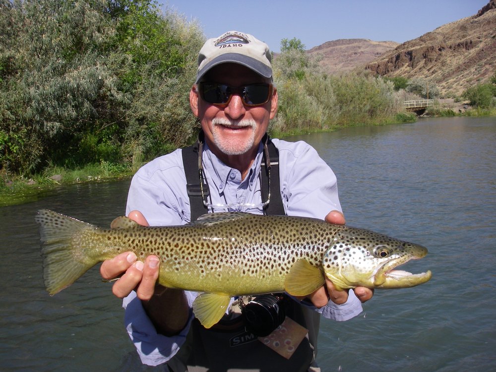 Owyhee Fly Fisher Logo