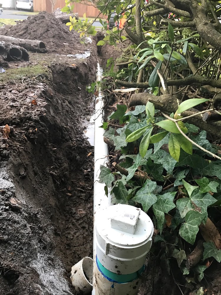 Slide of All About Rooter