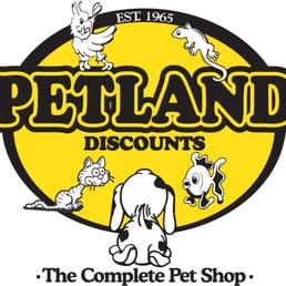 petland brooklyn
