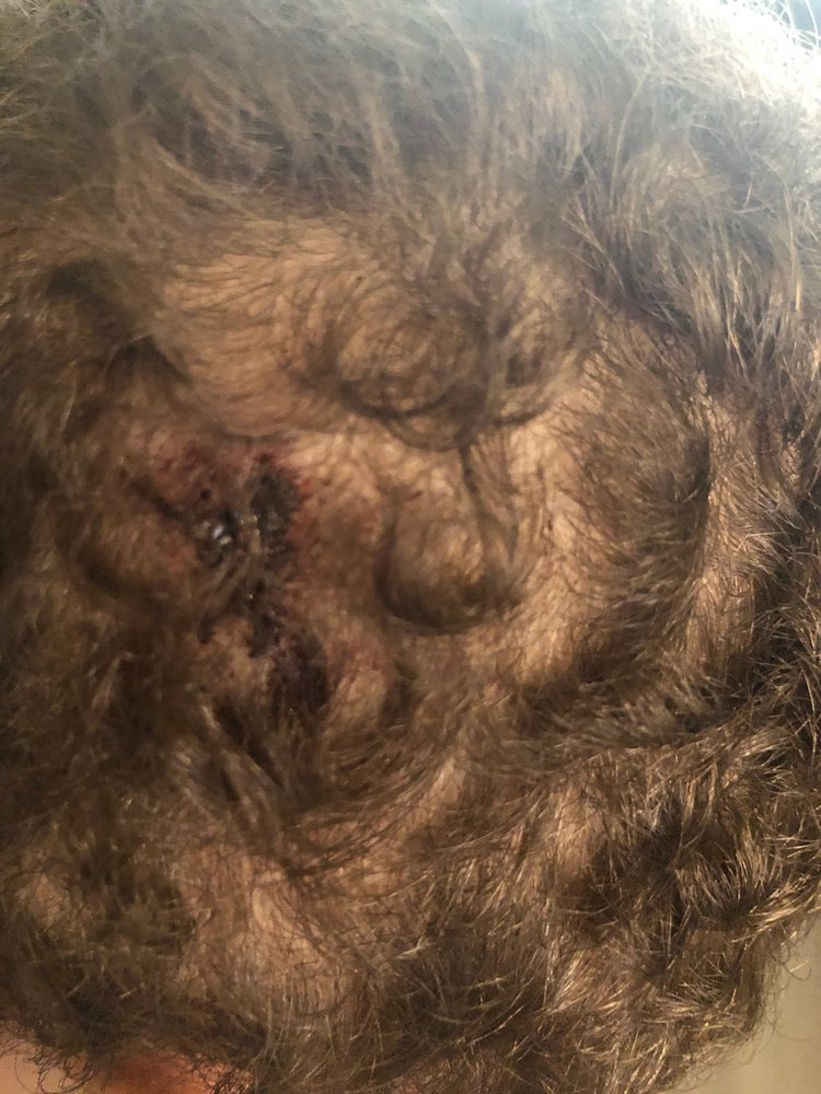 Kidz Triumph Childcare & Learing Center - childcare center in Nederland, TX