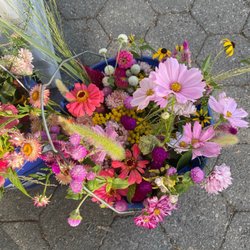 McGolrick Park's Down to Earth Farmers Market
