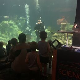 Scuba Divers in the aquarium! Scuba Divers in the aquarium!