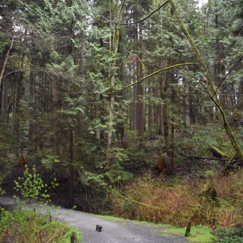 Robert Burnaby Park - Parks Near Me - Burnaby, British Columbia