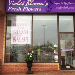 Exterior outside entrance of Violet Bloom's Fresh Flowers - Photo - Pickering, Ontario Exterior outside entrance of Violet Bloom's Fresh Flowers - Photo - Pickering, Ontario