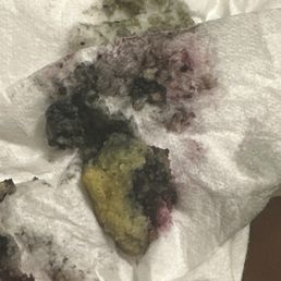 Photo of molded blueberry cornbread Photo of molded blueberry cornbread