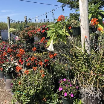 JM Nursery - Nurseries & Gardening Near Me - Miami, Florida