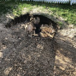 Like It Was Never There Tree Care - Grinding that stump the right way