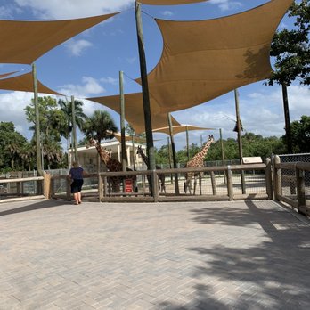 Naples Zoo - Giraffe feeding Awesome closes at 3 - Zoos Near Me - Naples, Florida