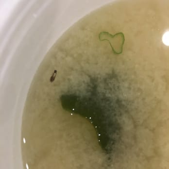 Sakura 7 - I got the 3 rolls special with miso soup. There was a roach in my soup floating right on top. - Japanese Near Me - Maspeth, New York Sakura 7 - I got the 3 rolls special with miso soup. There was a roach in my soup floating right on top. - Japanese Near Me - Maspeth, New York