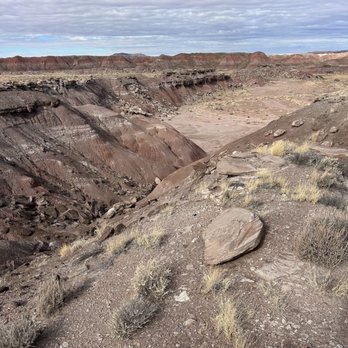 Petrified Forest National Park - The painted desert - Parks Near Me - Petrified Forest, Arizona