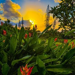 Pu'u O Hoku Ranch