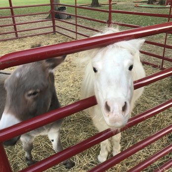 LEHNER’S PUMPKIN FARM - TEMP. CLOSED - Updated March 2026 - 83 Photos ...