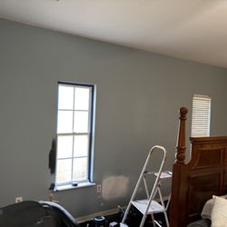 Ramrods Quality Sunshine ST Painters