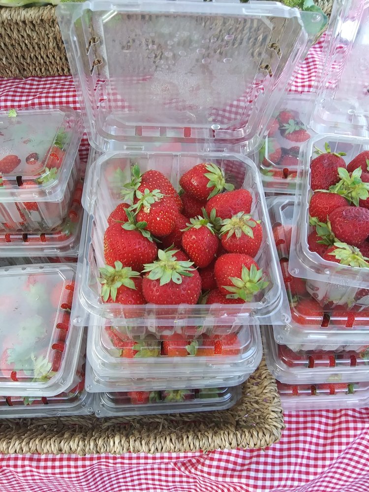 BETWEEN THE RIVERS FARMERS’ MARKET Updated September 2024 111 Bridgepoint Plaza, Rome