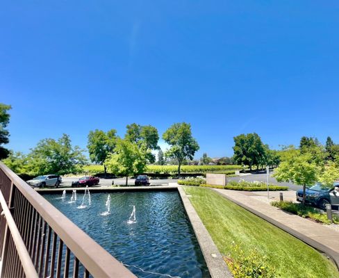 Rodney Strong Vineyards by null