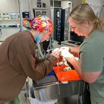 Ladera Ranch Animal Hospital - Veterinarians Near Me - Ladera Ranch, California Ladera Ranch Animal Hospital - Veterinarians Near Me - Ladera Ranch, California