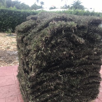 Landworks Depot - Two pallets of crap sod - Nurseries & Gardening Near Me - Southwest Ranches, Florida Landworks Depot - Two pallets of crap sod - Nurseries & Gardening Near Me - Southwest Ranches, Florida