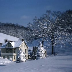 Eichner’s Farm Market - Winter Beauty