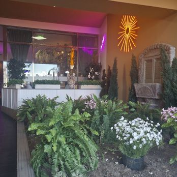 Baci Coffee - Front - Coffee & Tea Near Me - San Diego, California