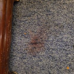 Town Chalet Motel - Blood stain on carpet and it wasn't cleaned before giving room out