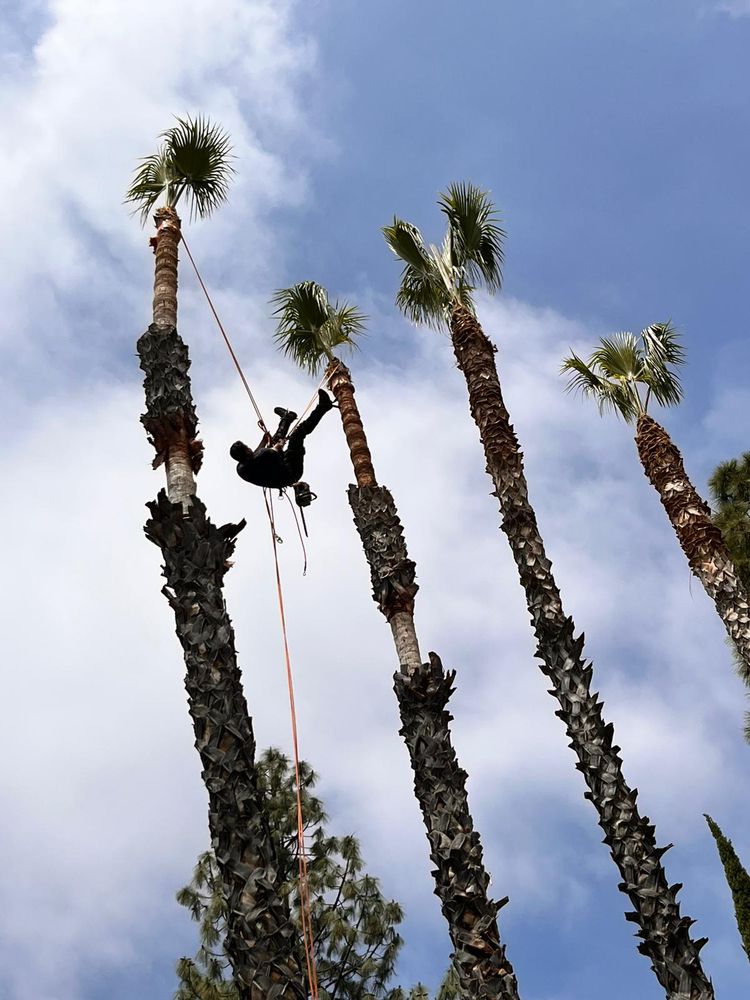 Slide of Cr-b Handyman