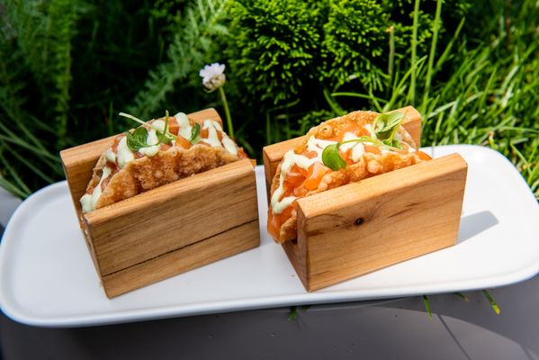 Harriet's Rooftop by null