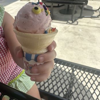 Bruster's Real Ice Cream - Desserts Near Me - Summerville, South Carolina