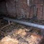 Photo of Poppleton Pest Services