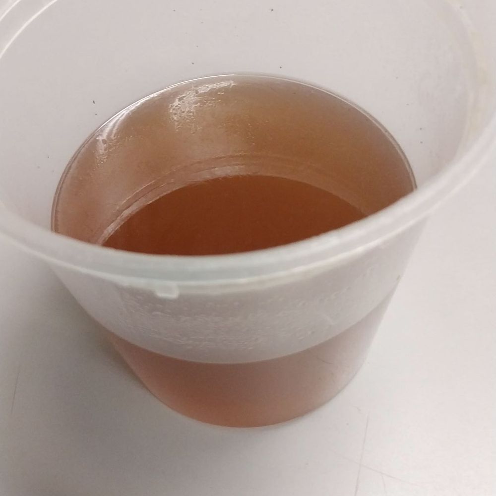 JUST BAD TASTING BROTH!!!!!! JUST BAD TASTING BROTH!!!!!!