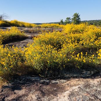 Arabia Mountain National Heritage Area - Parks Near Me - Stonecrest, Georgia Arabia Mountain National Heritage Area - Parks Near Me - Stonecrest, Georgia