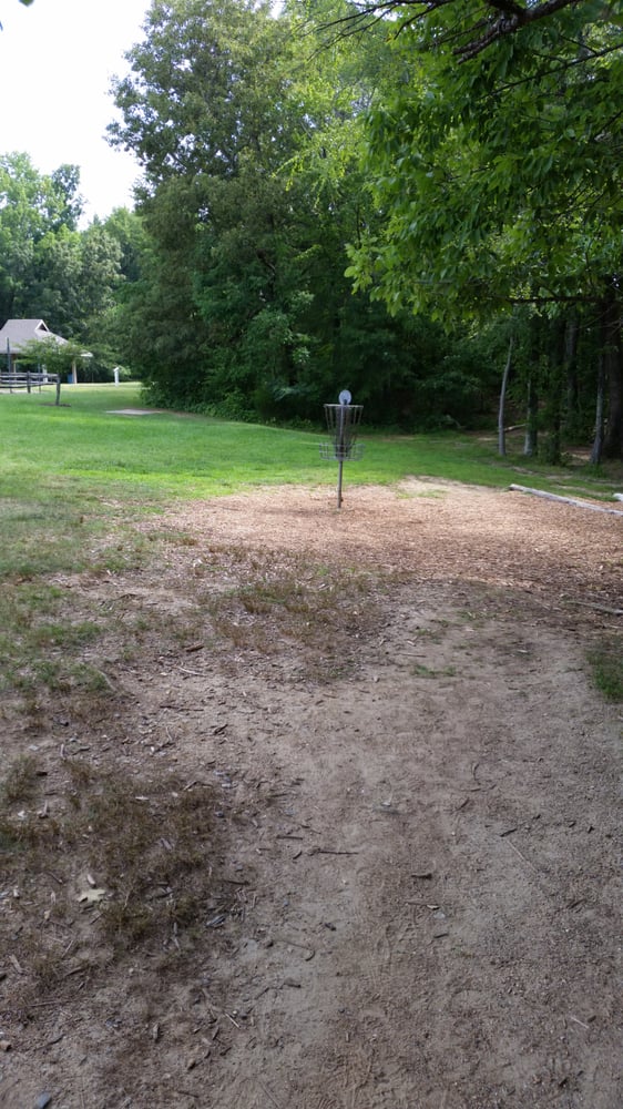 Johnson Street Disc Golf Park Logo