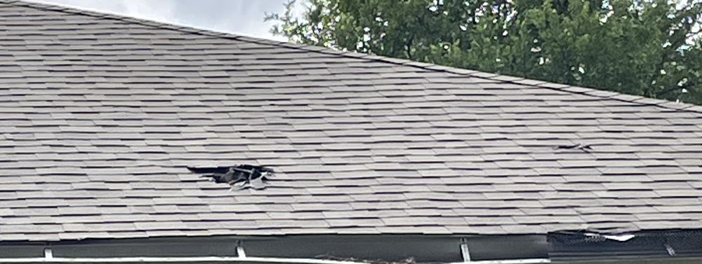 Slide of Ace Roofing Company