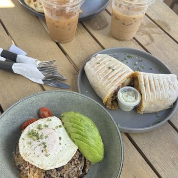 CFS Coffee - Coffee & Tea Near Me - Oviedo, Florida CFS Coffee - Coffee & Tea Near Me - Oviedo, Florida