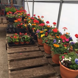 Mckees Farm Shop - For the garden