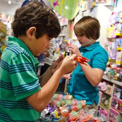 Fiddle Sticks Toys