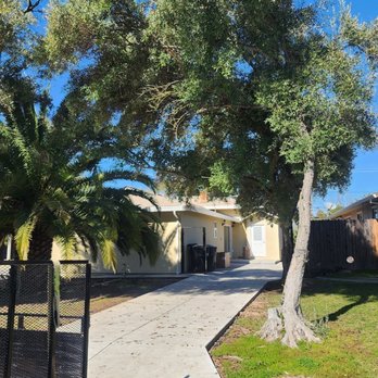 Dominion Brush Clearing - Lawn Services Near Me Dominion Brush Clearing - Lawn Services Near Me