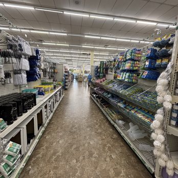 Dollar Tree - Discount Store Near Me - Apopka, Florida