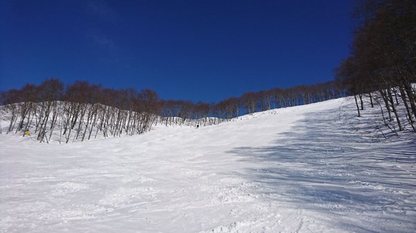 Muikamachi Hakkaisan Ski by null