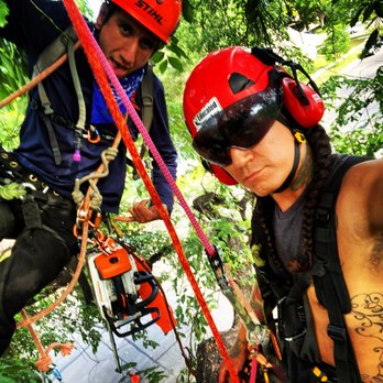 The Certified Arborist - a man and a woman climbing - Tree Services Near Me The Certified Arborist - a man and a woman climbing - Tree Services Near Me